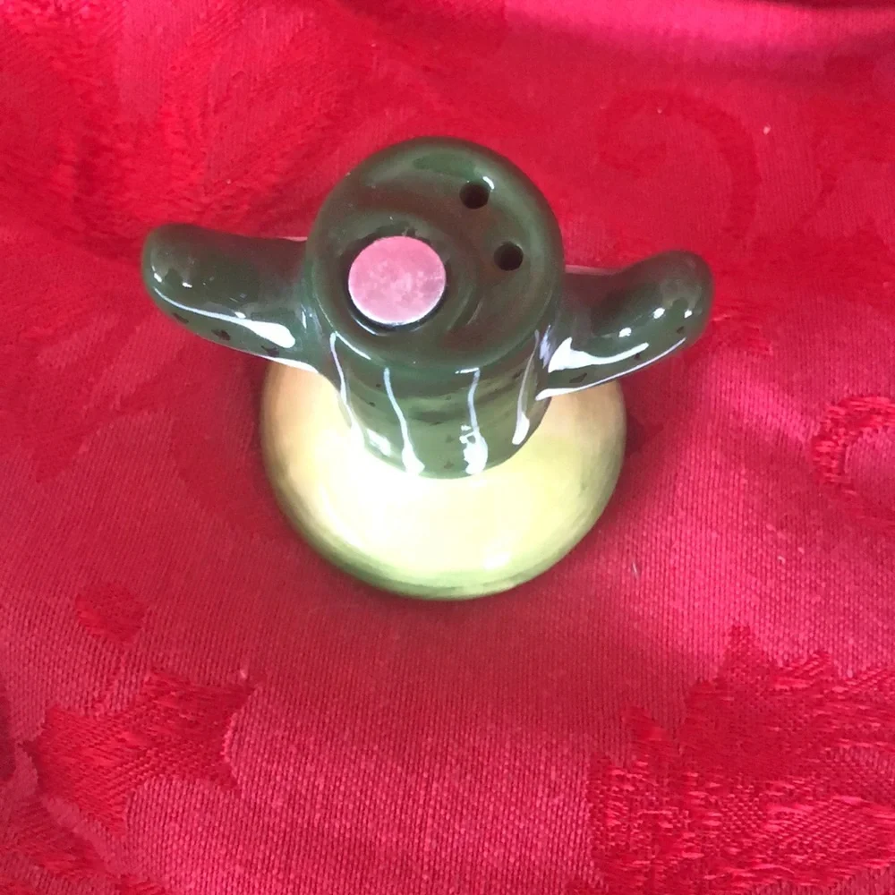 Pier One 2 piece cactus margarita salt and pepper shaker